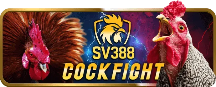 Chia sẻ kiến thức v99